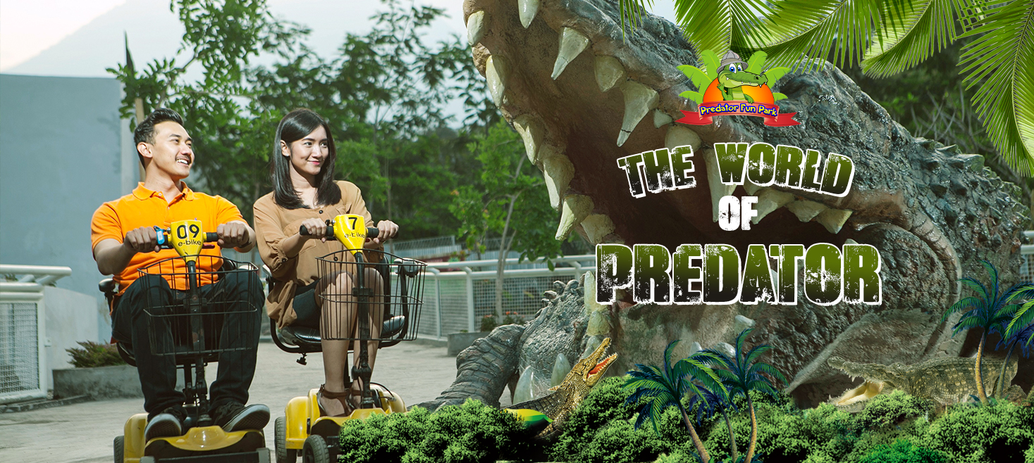 20190117034640 Predator Slider 1