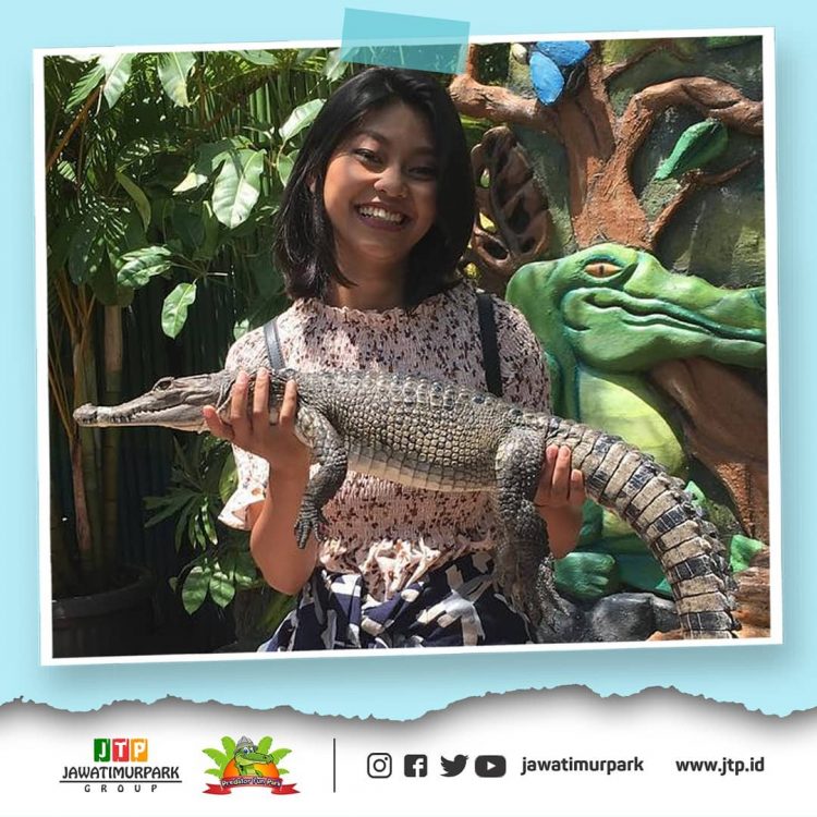 Pengunjung Dekat Dengan Satwa Predator Fun Park Jawa Timur Park