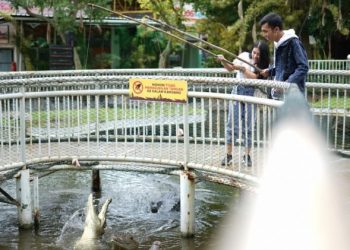 Info Harga Tiket Masuk Predator Fun Park Bulan April 2021