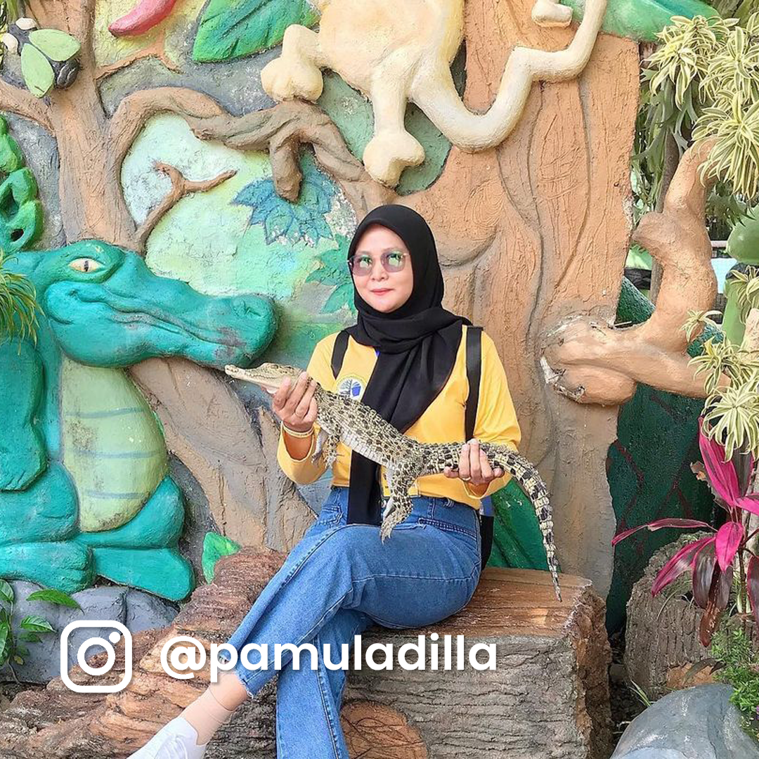 2 Predator Fun Park Pamuladilla