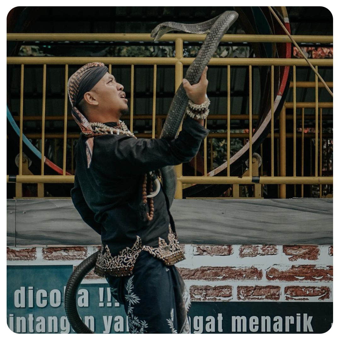 Ular Show Predator Fun Park