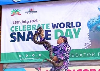 After Movie World Snake Day 2023 Predator Fun Park!