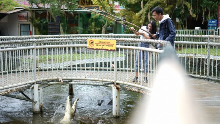 Info Harga Tiket Masuk Predator Fun Park Bulan April 2021