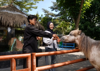 Feeding Satwa Batu Ekonomis Park, Edukasi Satwa Interaktif Yang Seru