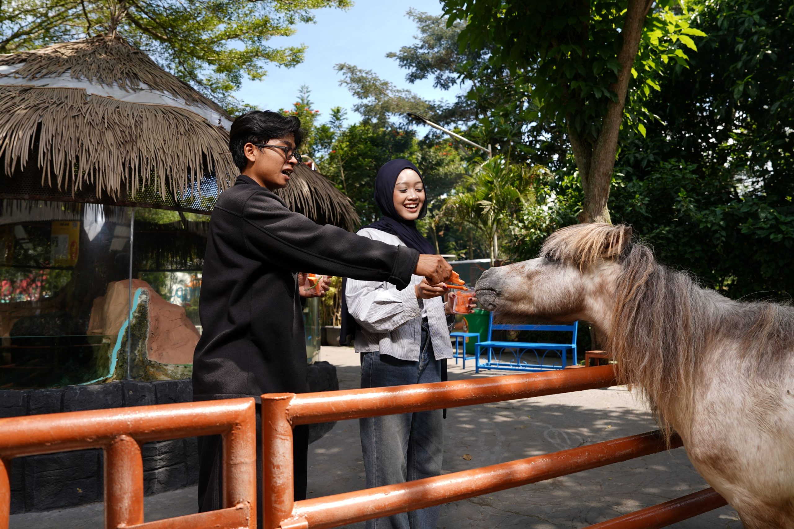 Feeding Satwa Batu Ekonomis Park, Edukasi Satwa Interaktif Yang Seru