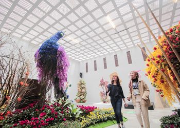 Zona Fresh Flower Baloga Jawa Timur Park