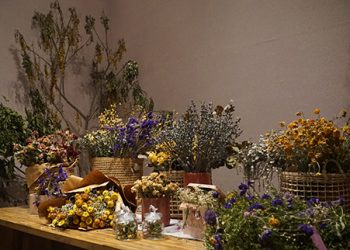 Zona Dried Flower Baloga Jawa Timur Park