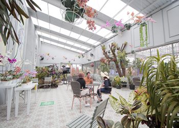 Cafe De’ Orchid / Terrace Cafe Baloga Jawa Timur Park