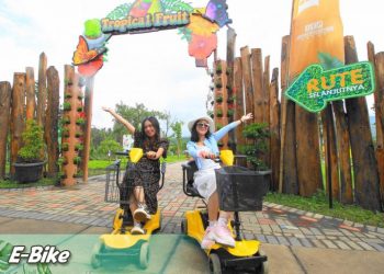 Baloga Batu Love Garden E Bike