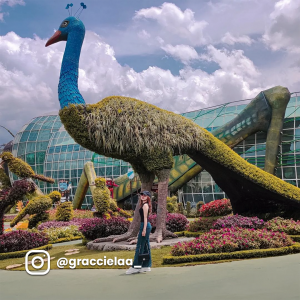 @graccielaa