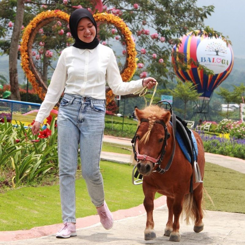 Berinteraksi Langsung Dengan Kuda Poni Di Batu Love Garden