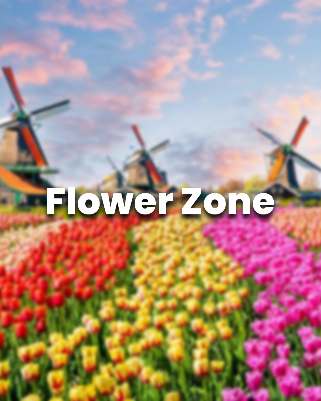 Flower Zone