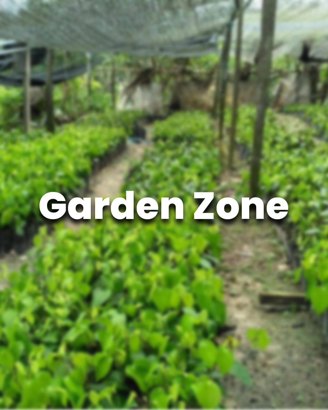 Garden Zone