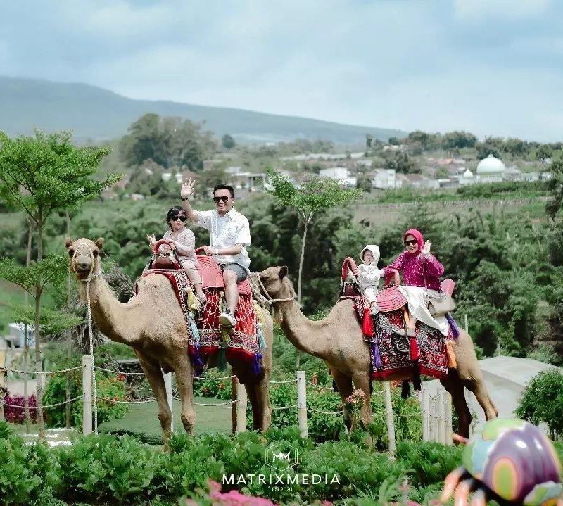 Mencoba Naik Onta Di Batu Love Garden