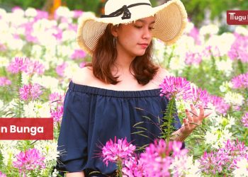 Batu Love Garden, Kebun Wisata Edukasi Keluarga Di Kota Batu