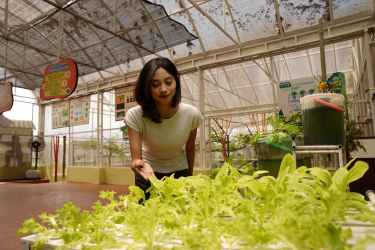 Batu Love Garden Kenalkan Hidroponik Sebagai Alternatif Pertanian Modern Bagi Generasi Muda