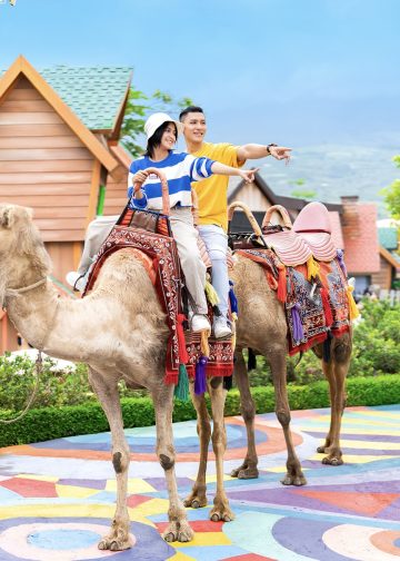 Camel Ride Batu Love Garden