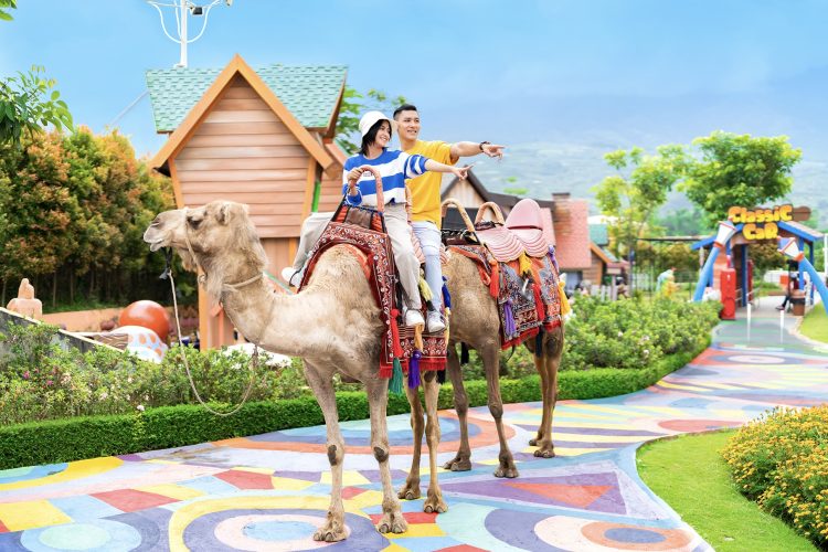 Camel Ride Batu Love Garden