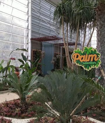 Spot Palm Collection Batu Love Garden Rimbun Dan Segar Di Mata