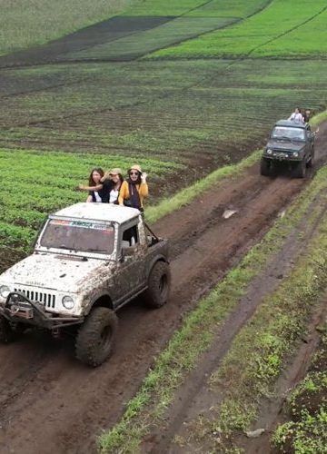 Sensasi Offroad Jeep Di Batu Love Garden Tantangan Dan Pesona Alam