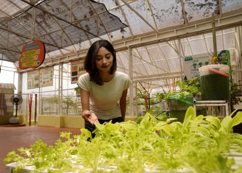 Batu Love Garden Kenalkan Hidroponik Sebagai Alternatif Pertanian Modern Bagi Generasi Muda
