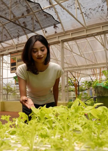 Batu Love Garden Kenalkan Hidroponik Sebagai Alternatif Pertanian Modern Bagi Generasi Muda