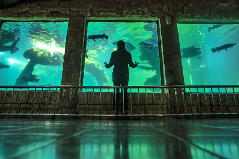 Zona Aquarium