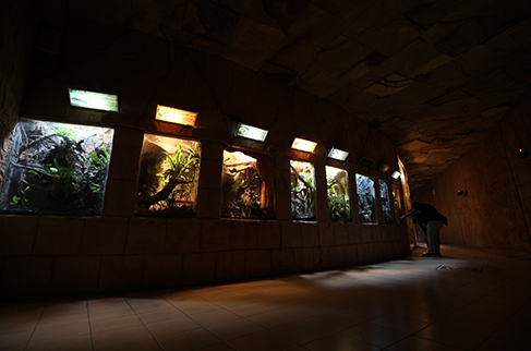 Reptile Garden