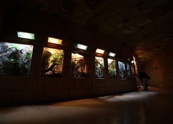 Reptile Garden Batu Secret Zoo Jawa Timur Park