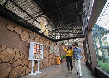 Tigerland Batu Secret Zoo Jawa Timur Park