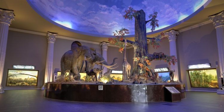 Museum Satwa