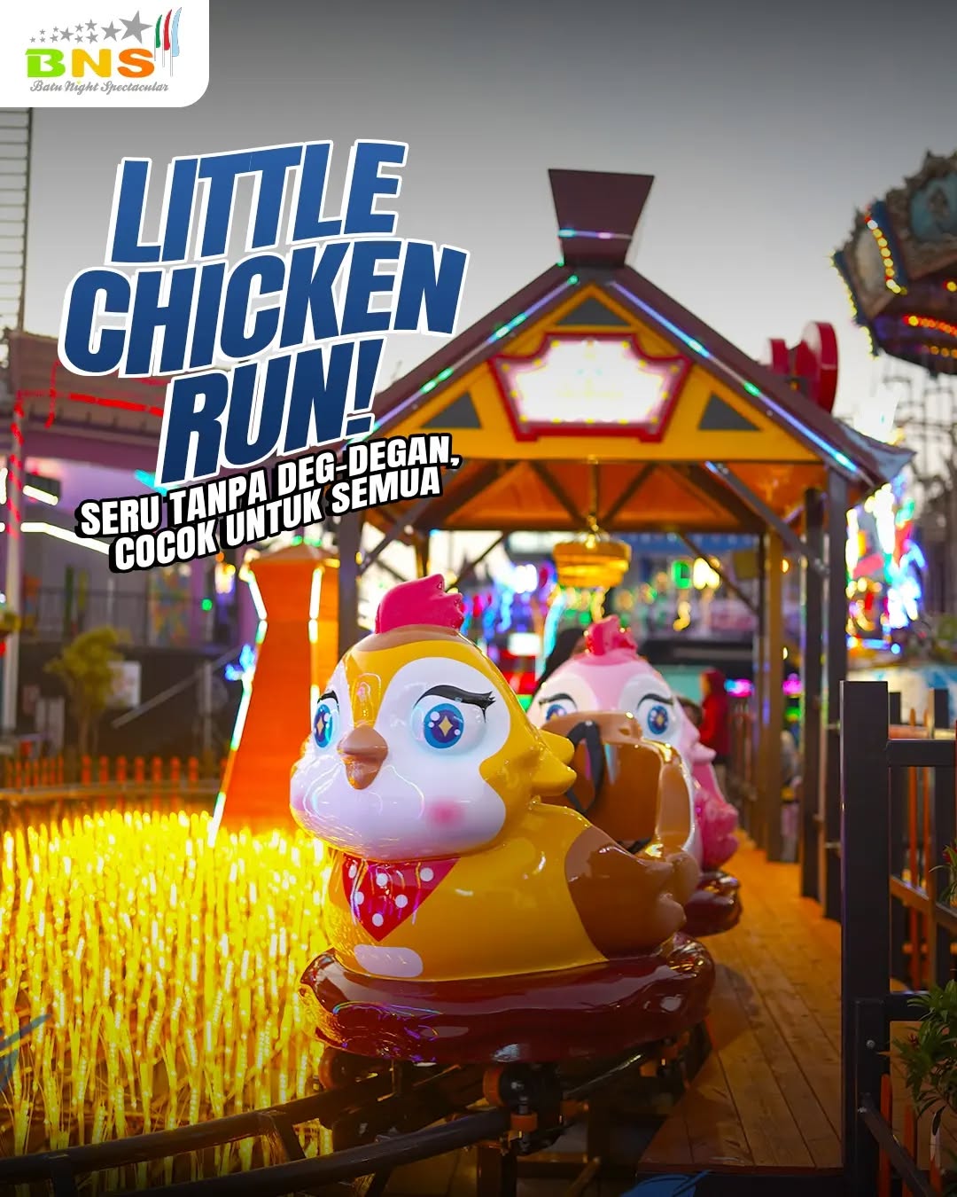 Little Chicken Run