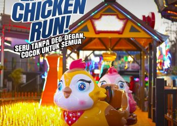 Little Chicken Run