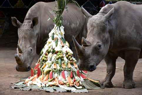 Ketika Jatim Park 2 Menggelar Hari Badak Sedunia