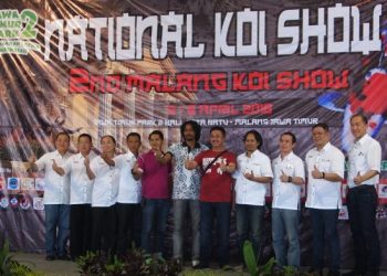 Seribu Koi Adu Warna Indah Di Jatim Park 2