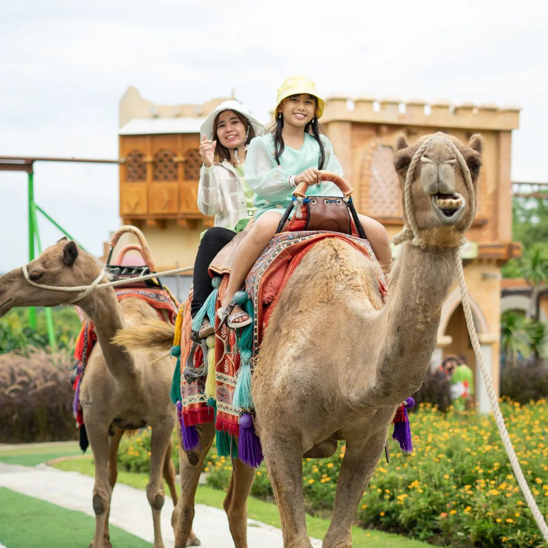 Tile Ig Homepage Jtp 1 D