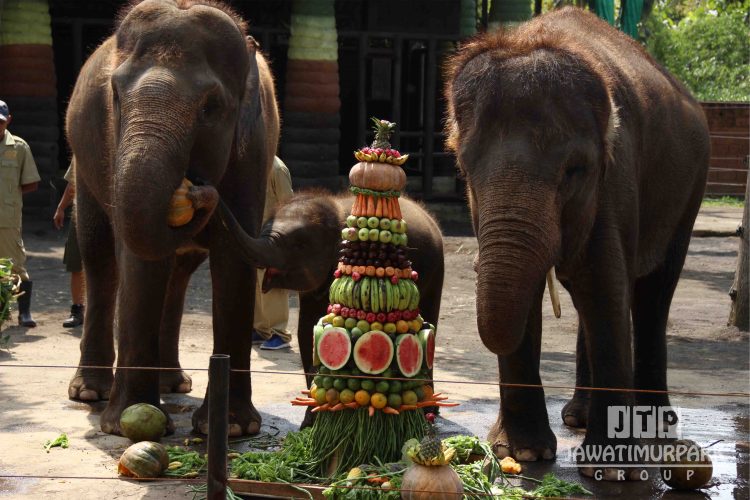 Happy 1st Birthday Lili