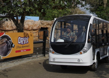Electric Shuttle Car ( Drive Thru Park )