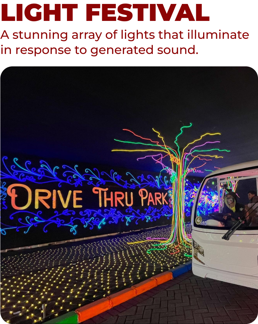 Light Festival Mobile