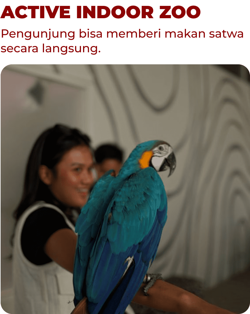 Active Indoor Zoo Mobile