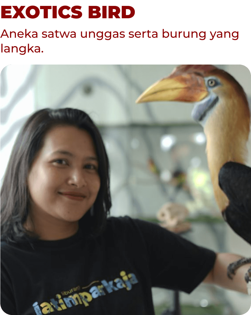 Exotics Bird Mobile
