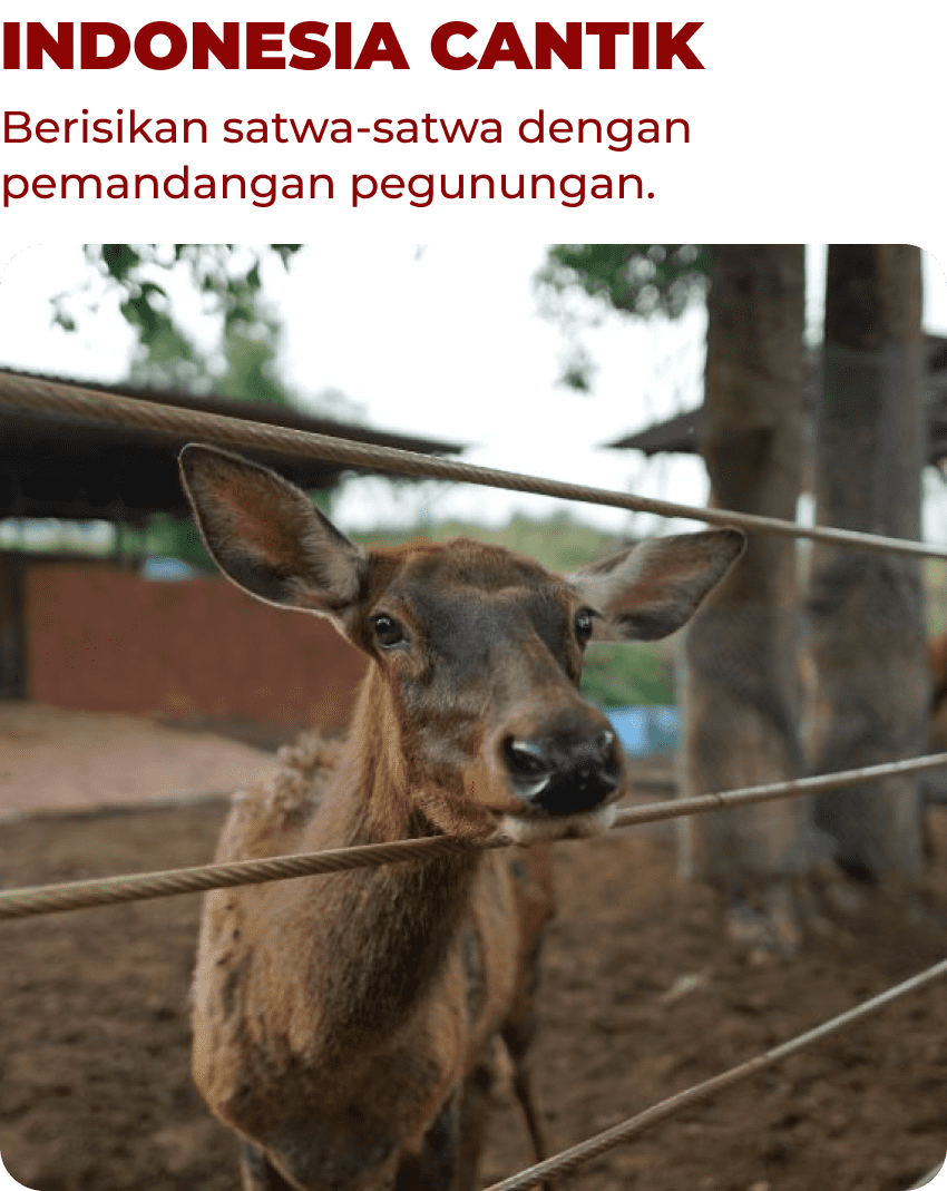 Indonesia Cantik Mobile