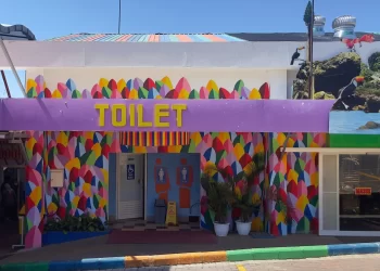 Toilet Drive Thru Park