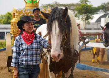 Wisata Berkuda, Wahana Baru Drive Thru Park
