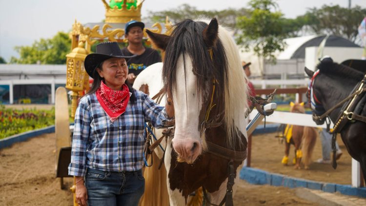 Wisata Berkuda, Wahana Baru Drive Thru Park