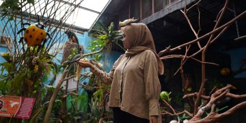 Secret Jungle Drive Thru Park