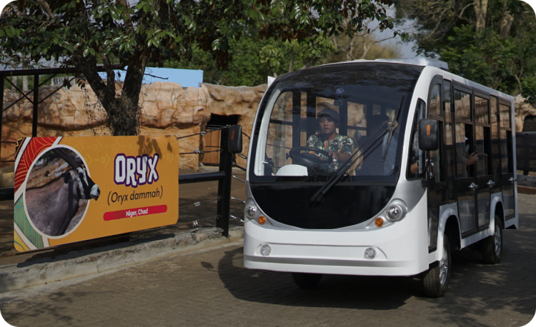Electric Shuttle Car ( Drive Thru Park )
