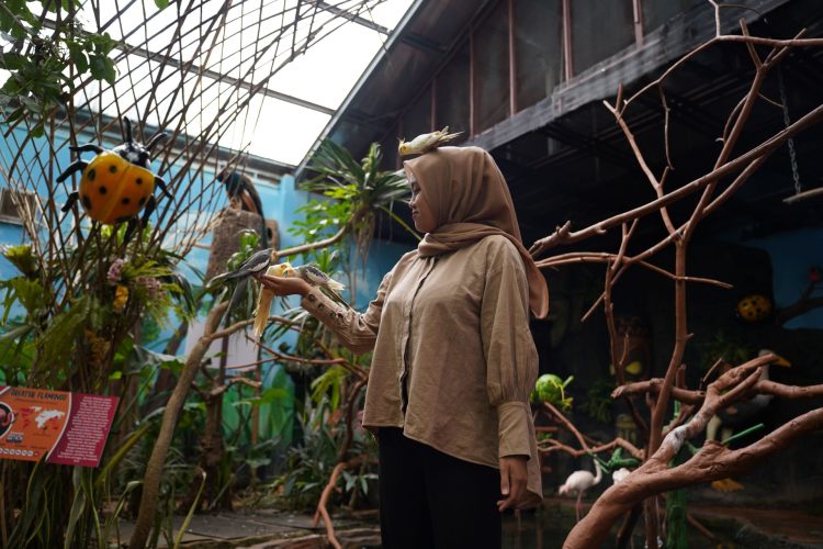 Secret Jungle Drive Thru Park