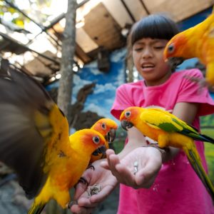 Belajar Tentang Burung Di Area World Of Parrot Eco Green Park Siapa Mau