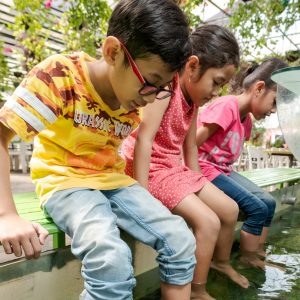 Menjajal Wahana Terapi Ikan Di Eco Green Park Gratis Lho